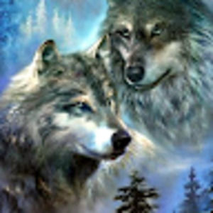 Meet your Posher, Leo